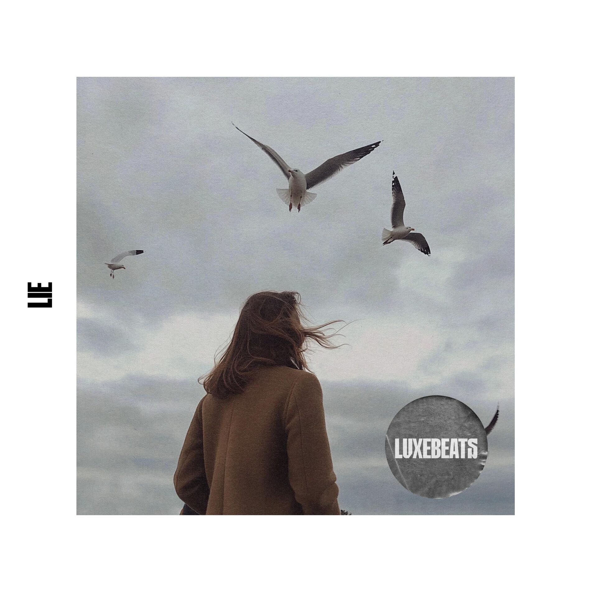 Album cover of Lie