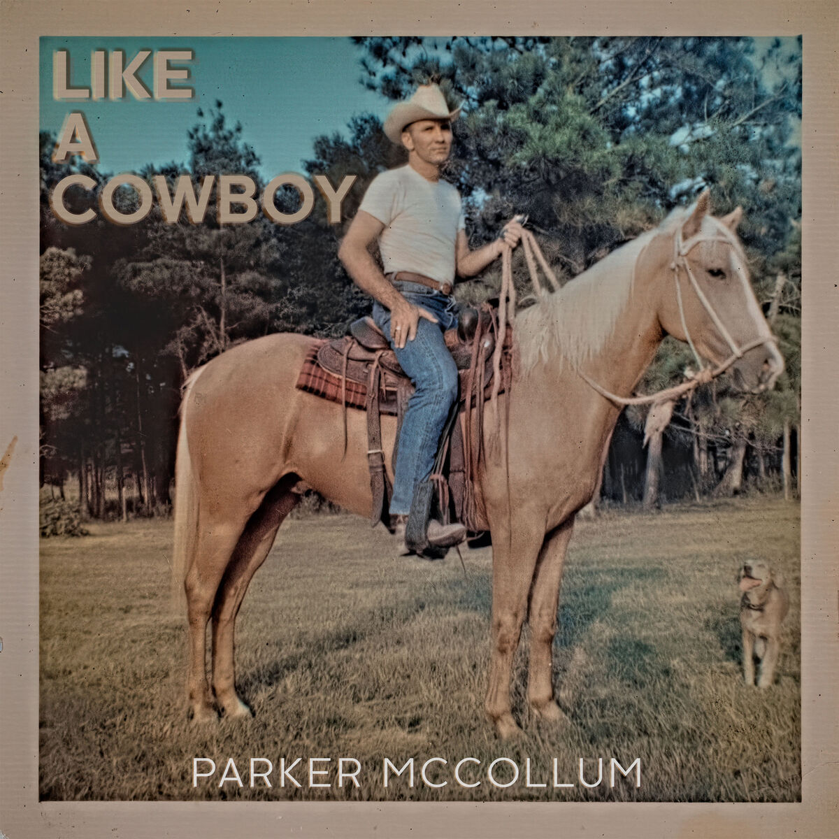 Album cover of Like A Cowboy