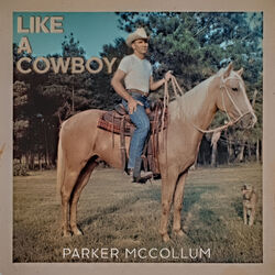 Cover of Like A Cowboy