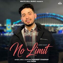 Cover of No Limit