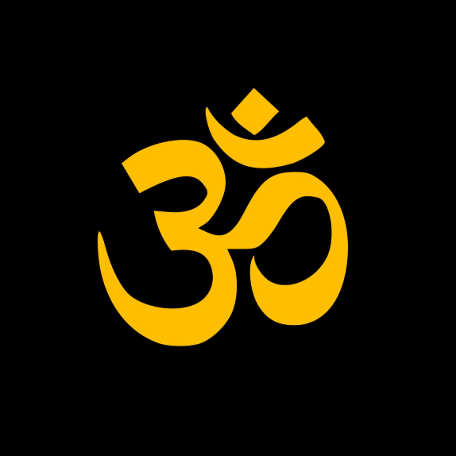 Album cover of Aum (Chanting the Sacred Energy Healing Sound)