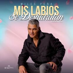 Cover of Mis Labios Se Deshidratan (Versión Pop)