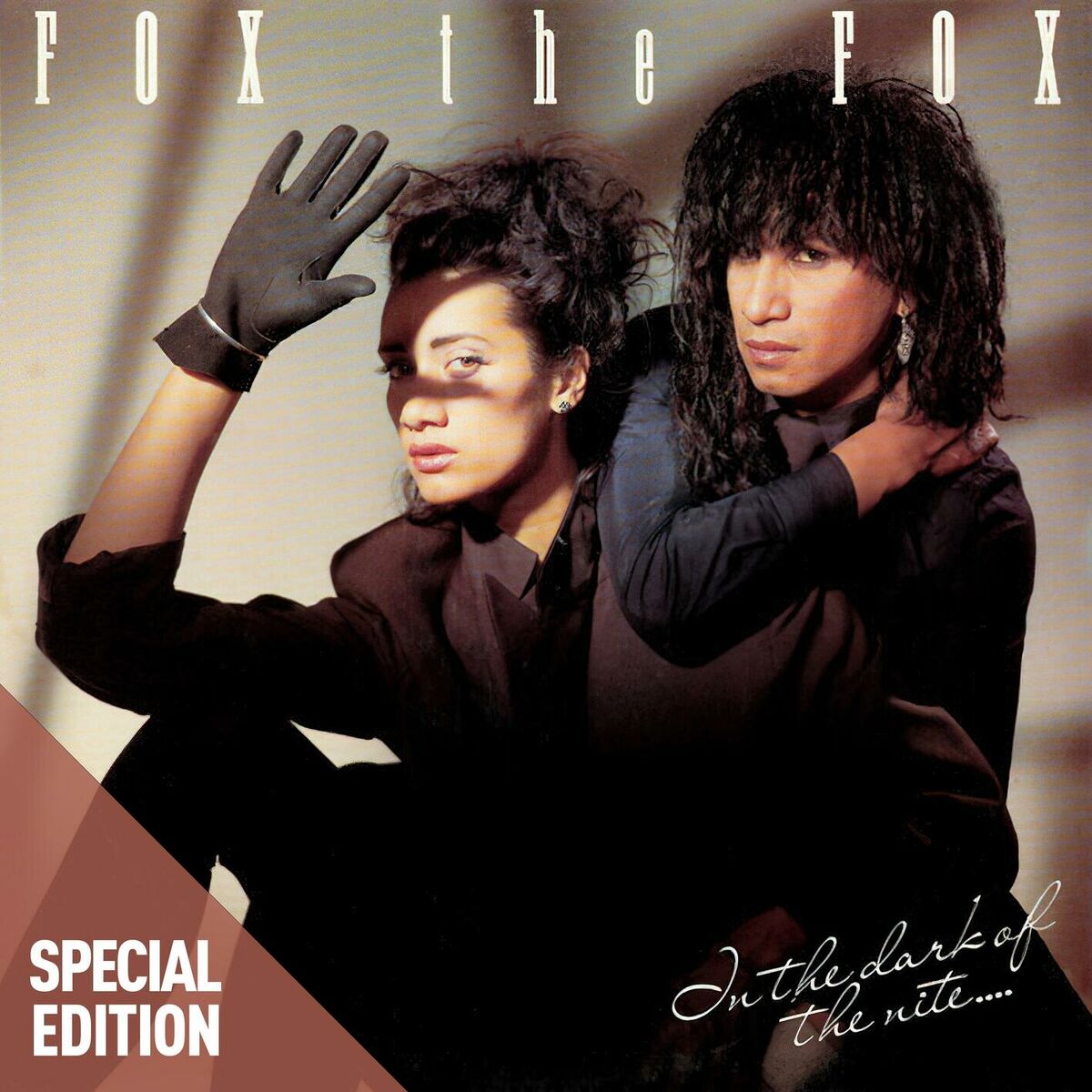 Album cover of In The Dark Of The Nite (special edition)