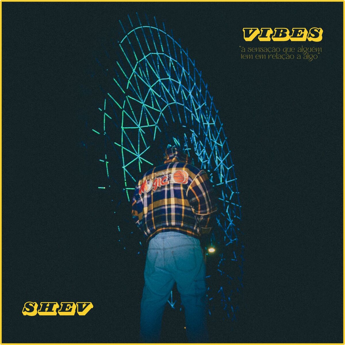 Album cover of Vibes