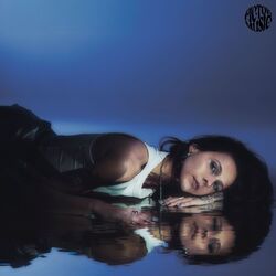 Cover of Trop Tard Pour Commencer