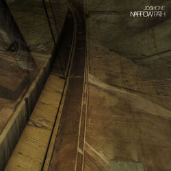Cover of Narrow Path