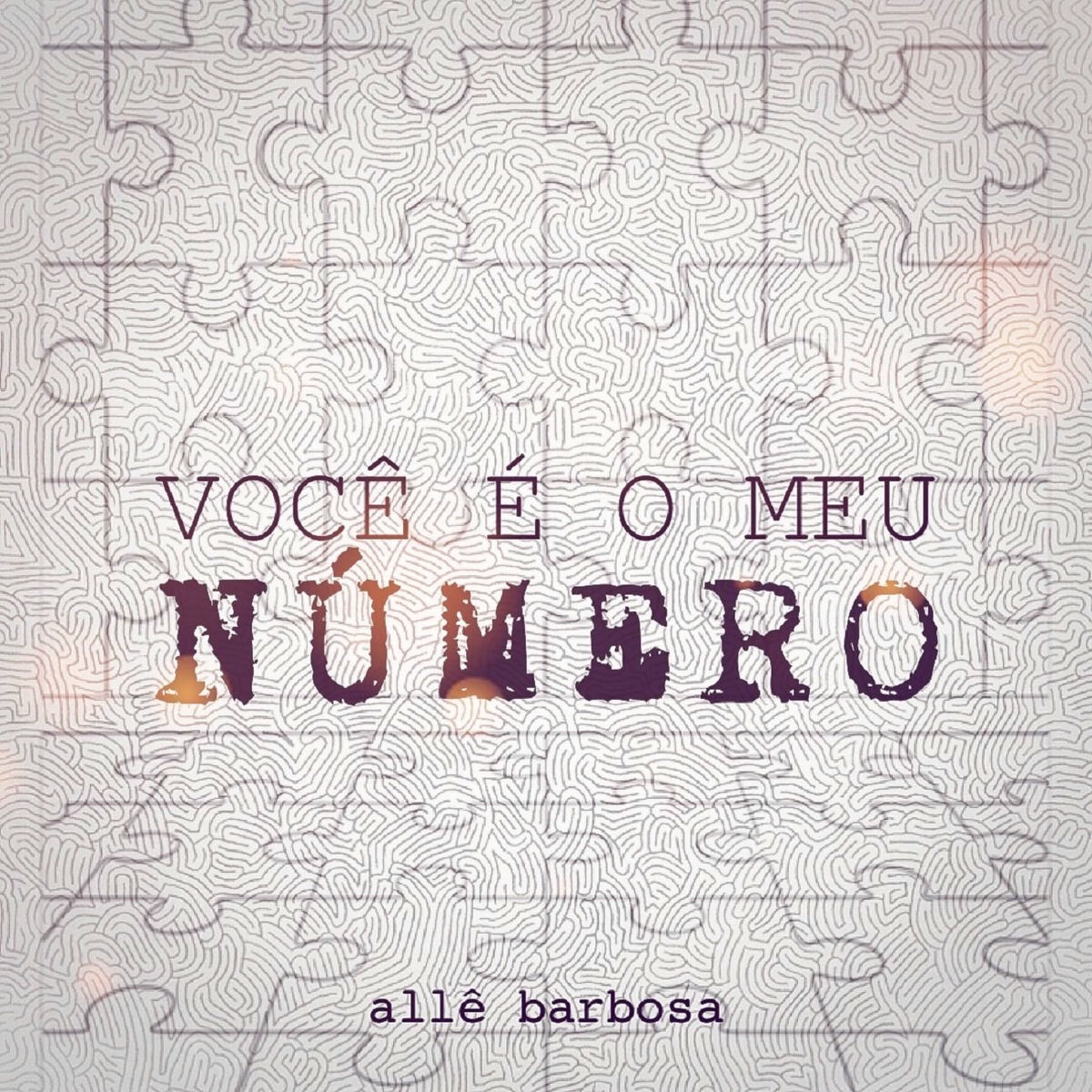 Album cover of Você É o Meu Número