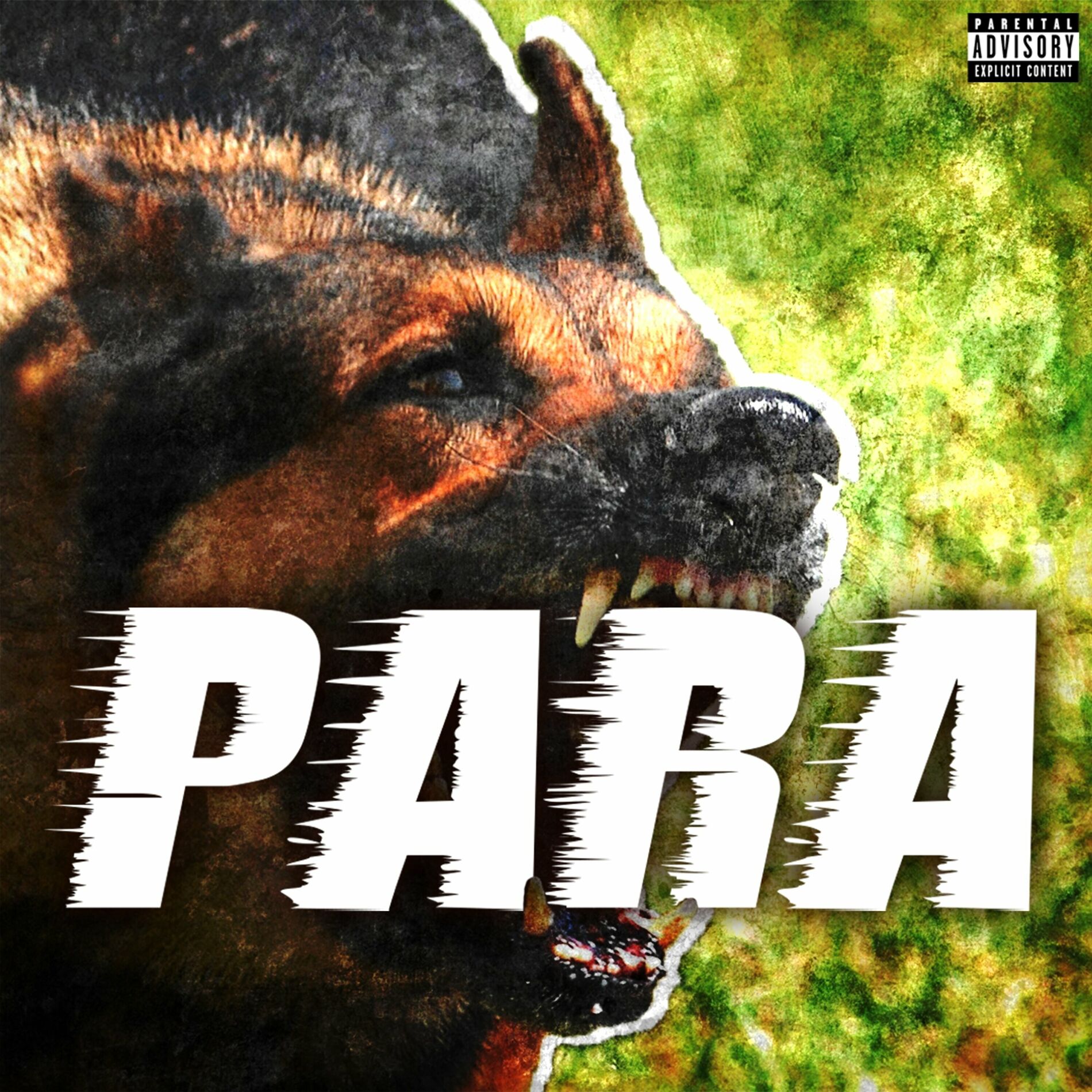 Album cover of Para