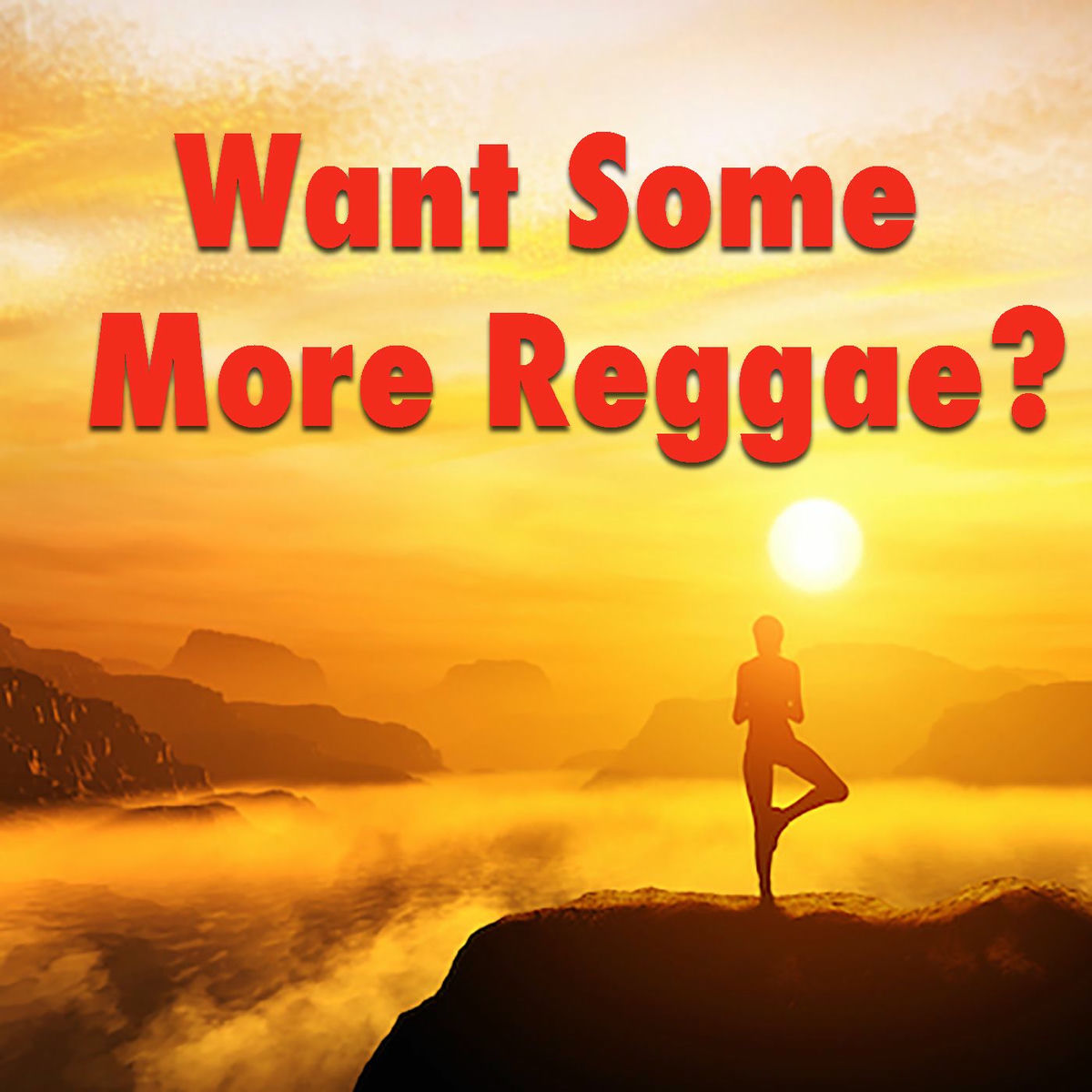 Album cover of Want Some More Reggae?