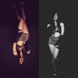 Cover of Show Me Love