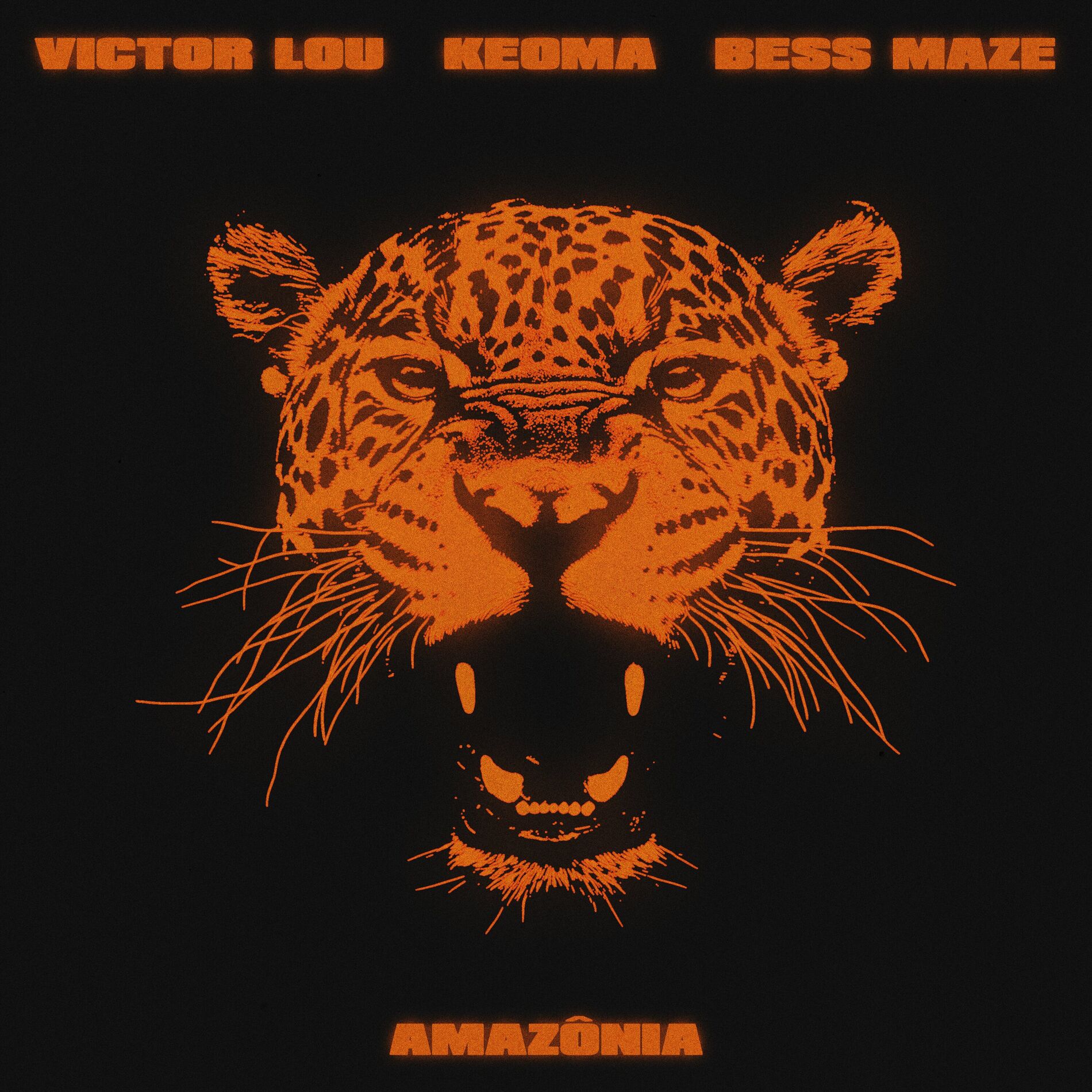 Album cover of Amazônia