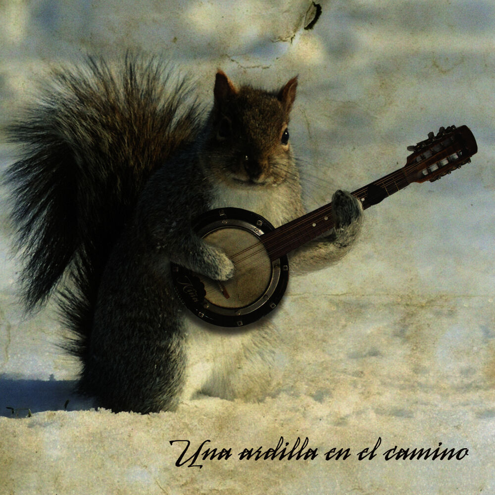 Picture of Una Ardilla en el Camino
