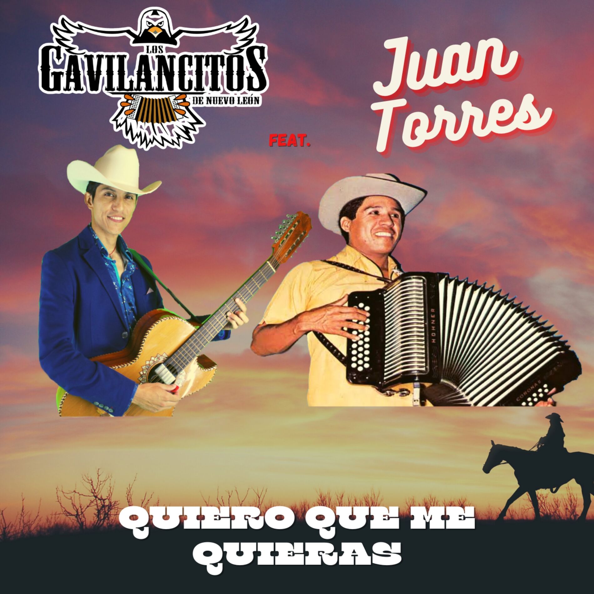 Album cover of quiero que me quieras