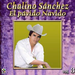 Cover of Colección De Oro, Vol. 3: El Pávido Návido