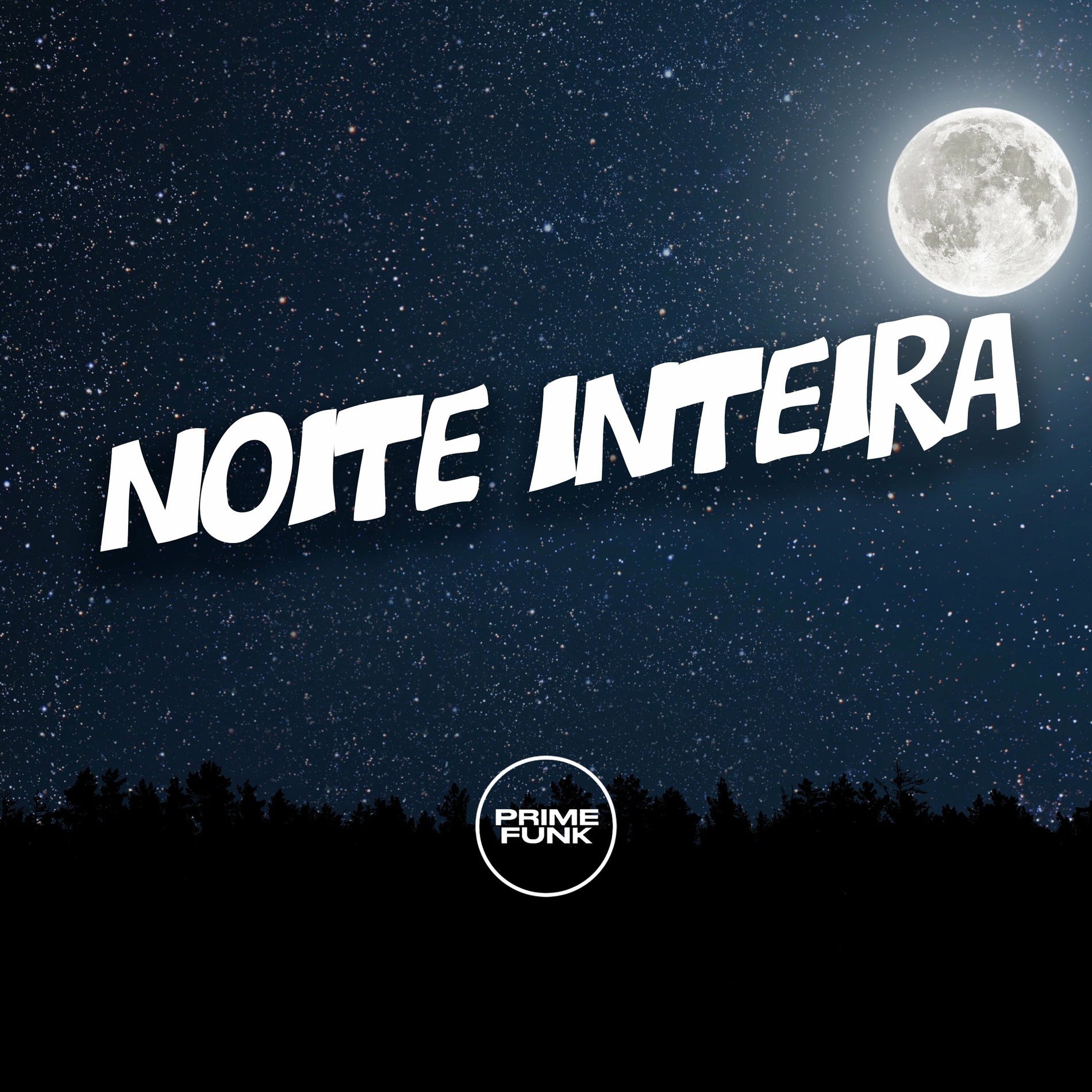 Album cover of Noite Inteira