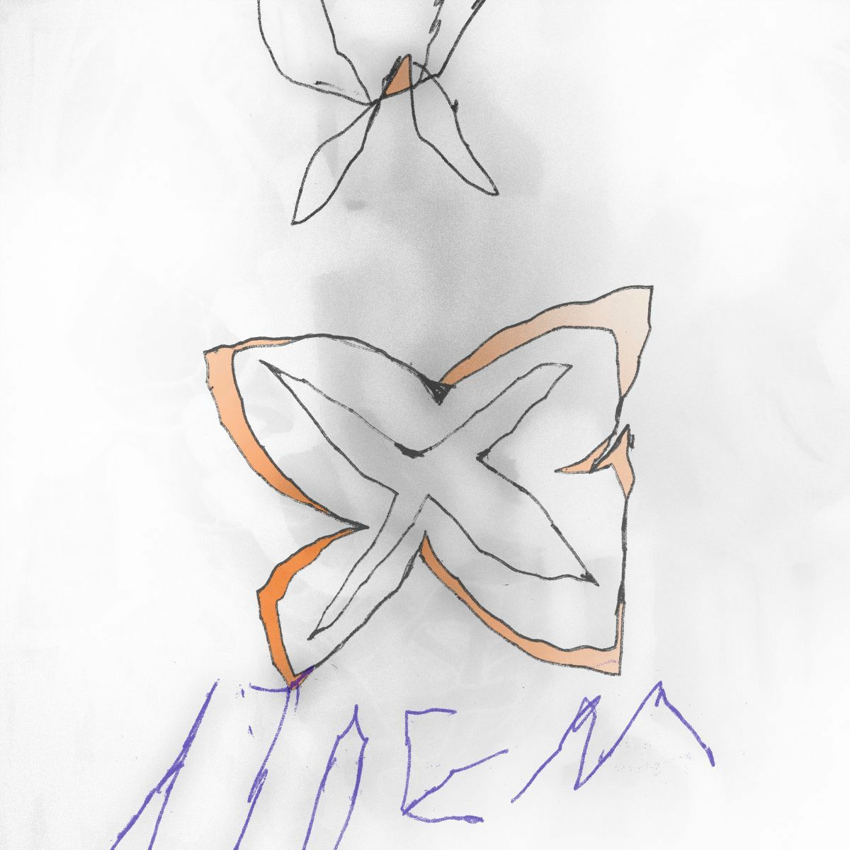 Album cover of Entropy Remixes