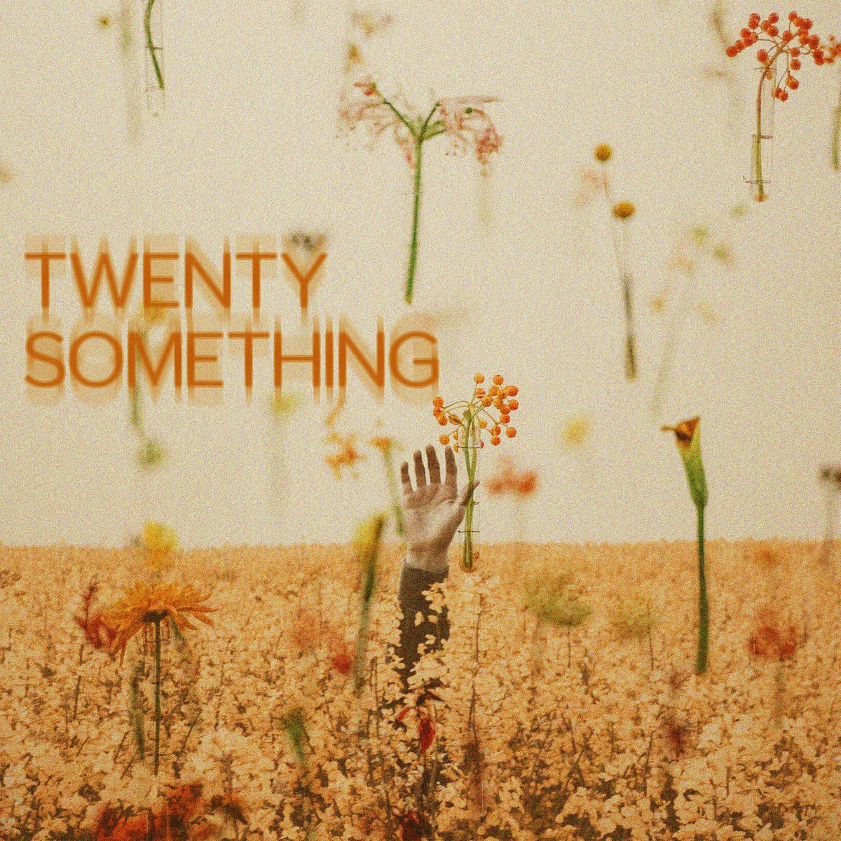 Album cover of Twenty Something