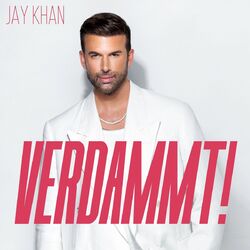 Cover of Verdammt!