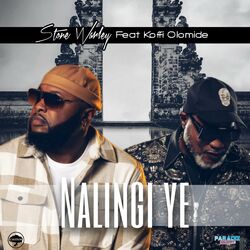 Cover of Nalingi ye