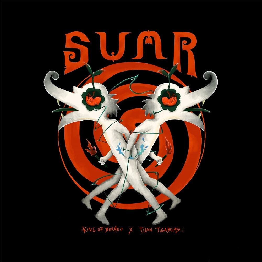 Picture of SUAR
