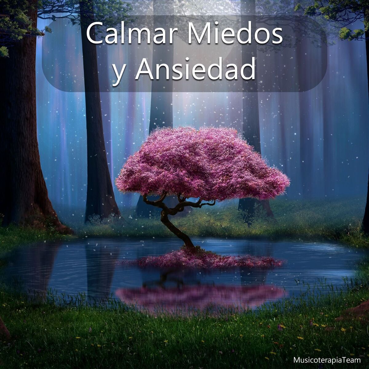Album cover of Calmar Miedos y Ansiedad
