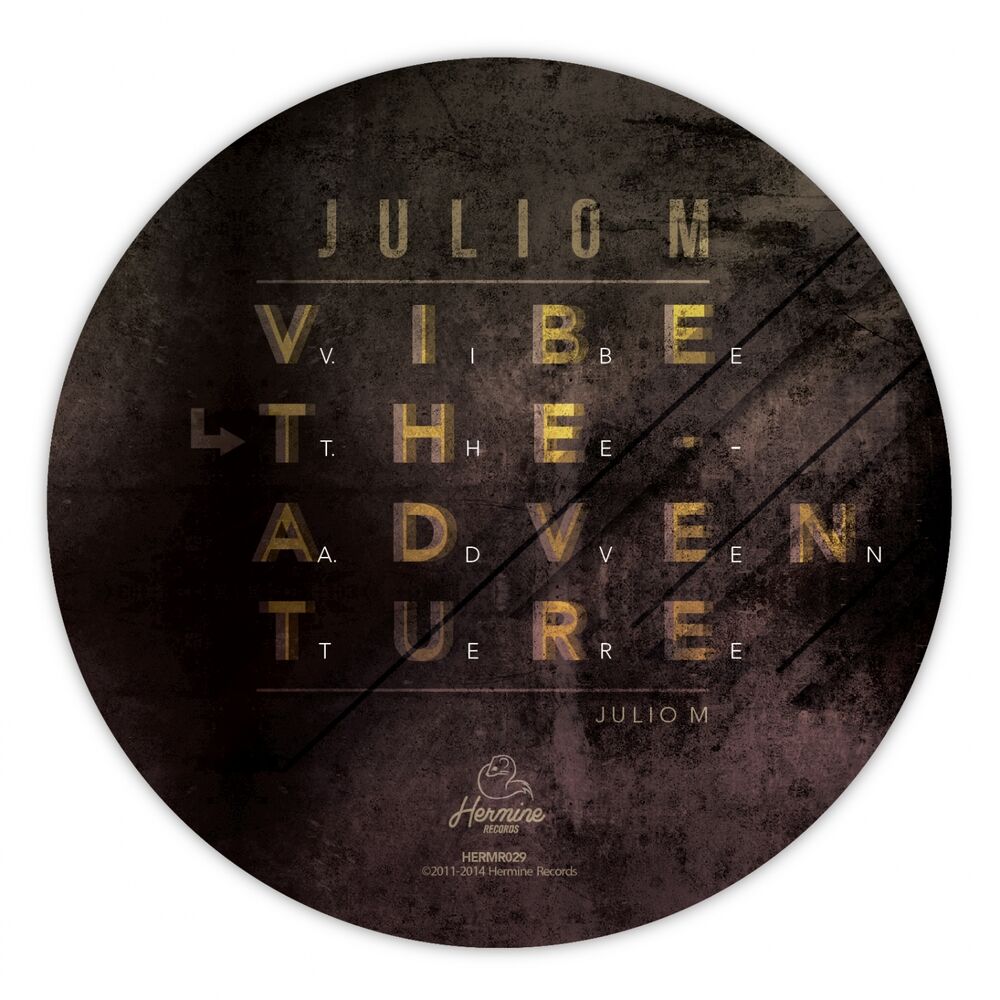 Picture of Vibe the Adventure