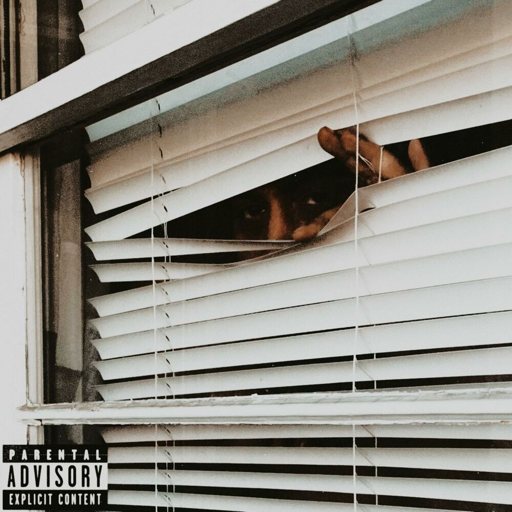 Picture of Paranoid
