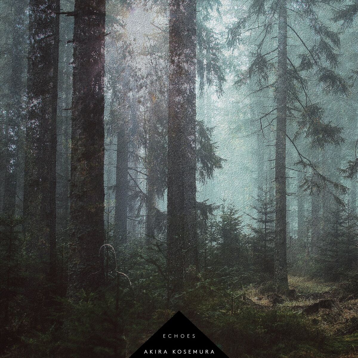 Album cover of Echoes