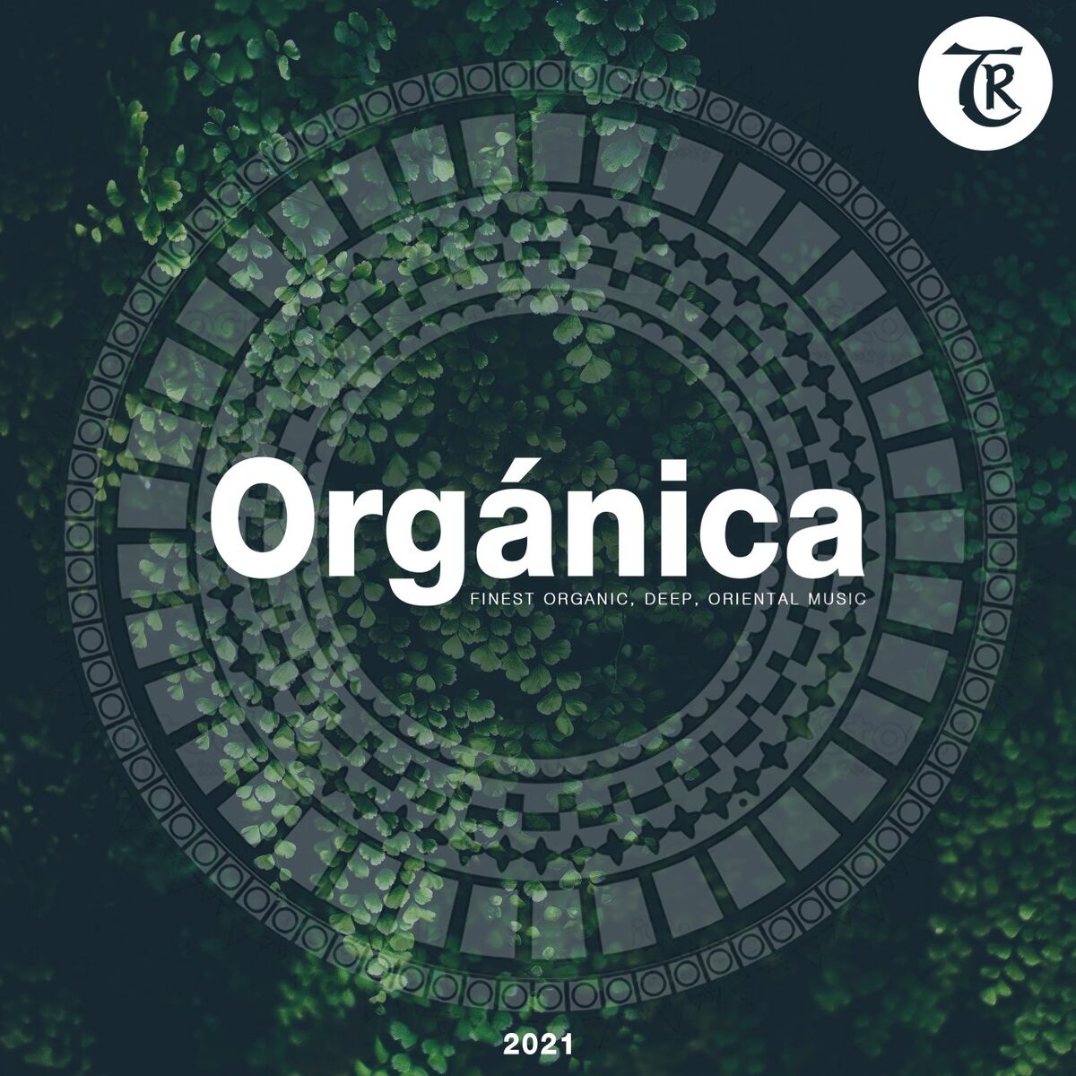 Album cover of Organica 2021