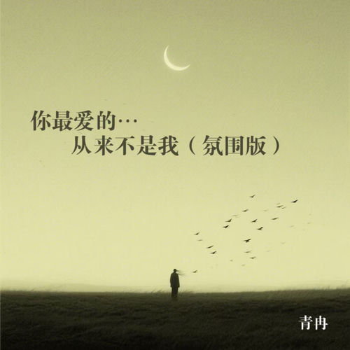 你最爱的从来不是我 (氛围版)
