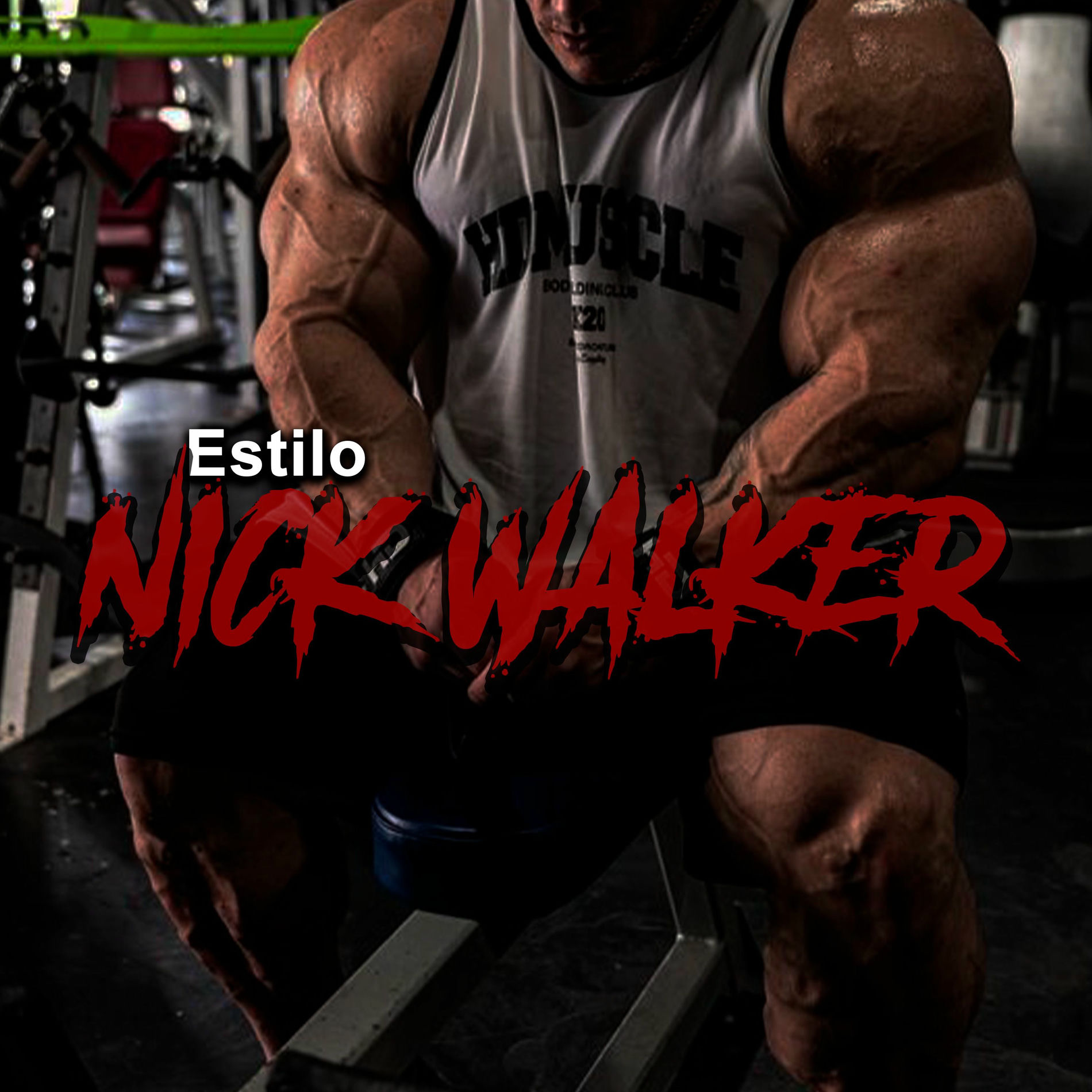 Album cover of Estilo Nick Walker
