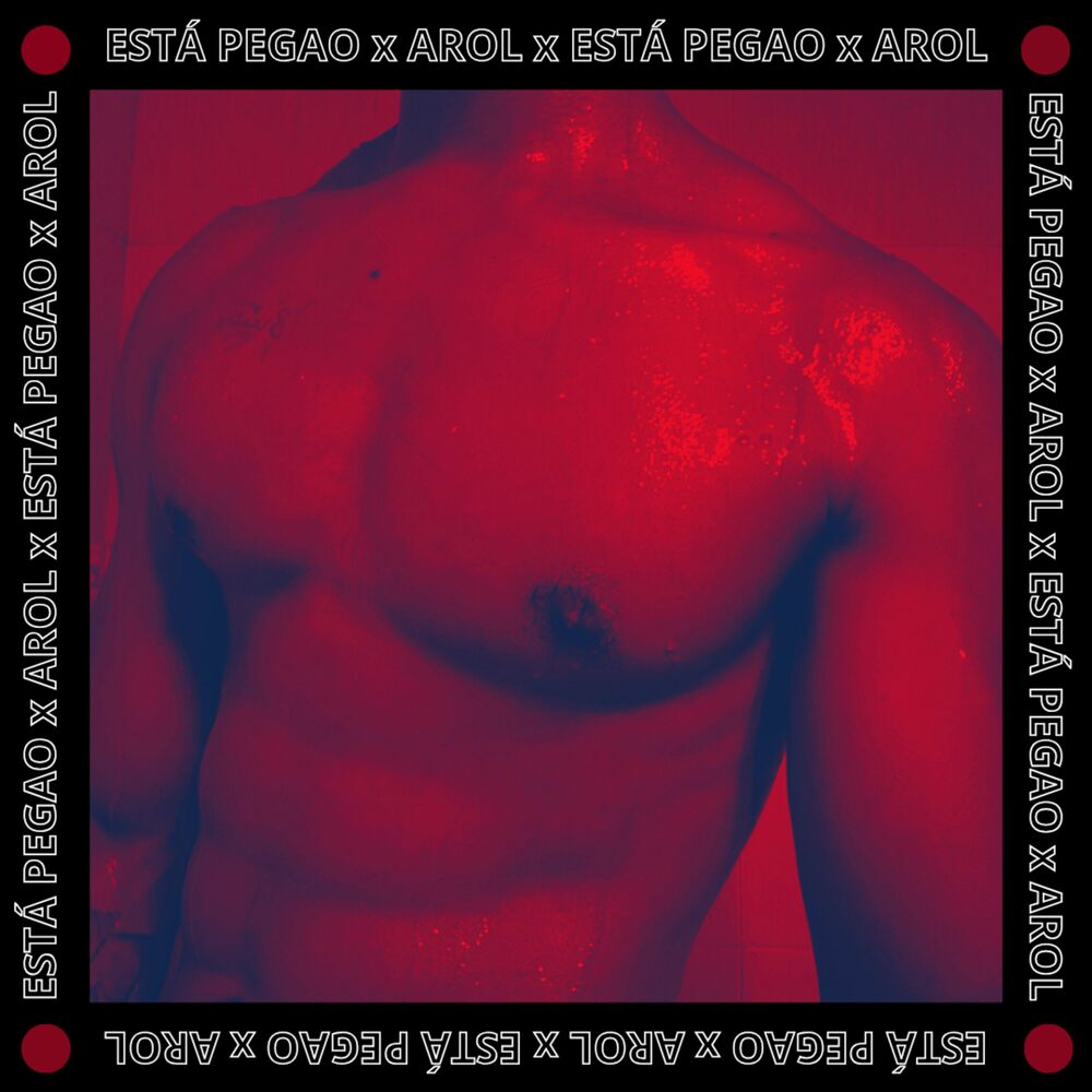 Picture of ESTÁ PEGAO