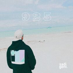 Cover of 9 2 5