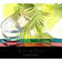 SAKURA BURST by Cö Shu Nie album cover