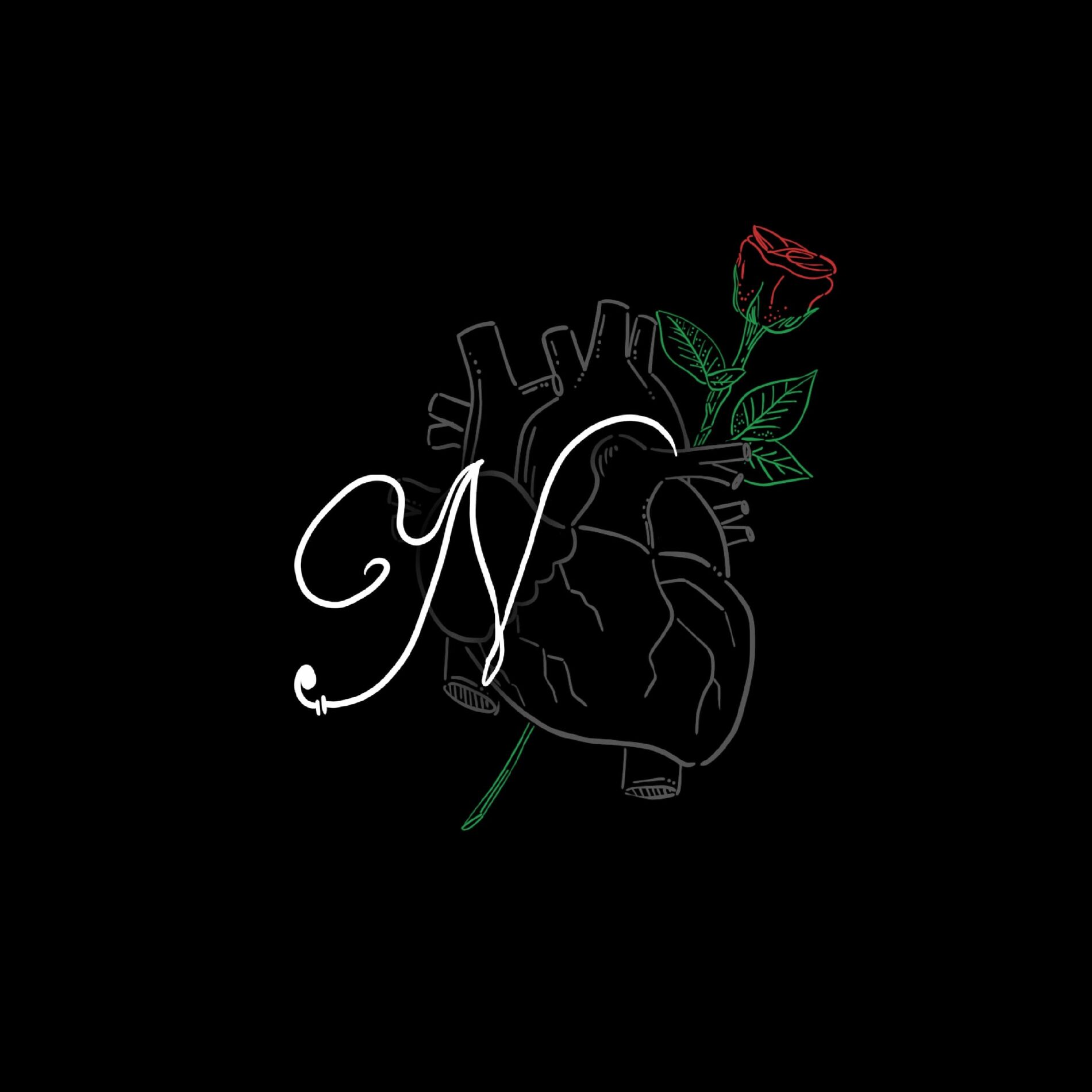 Album cover of N