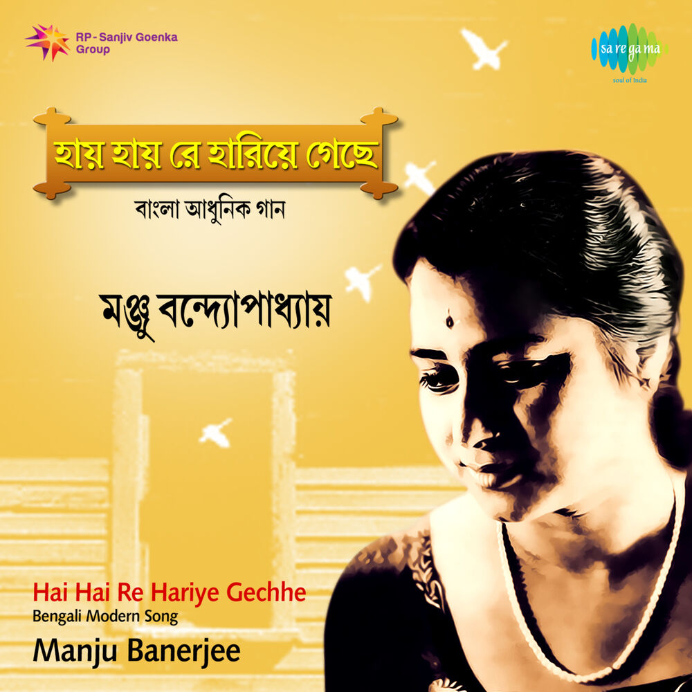 Picture of Hai Hai Re Hariye Gechhe