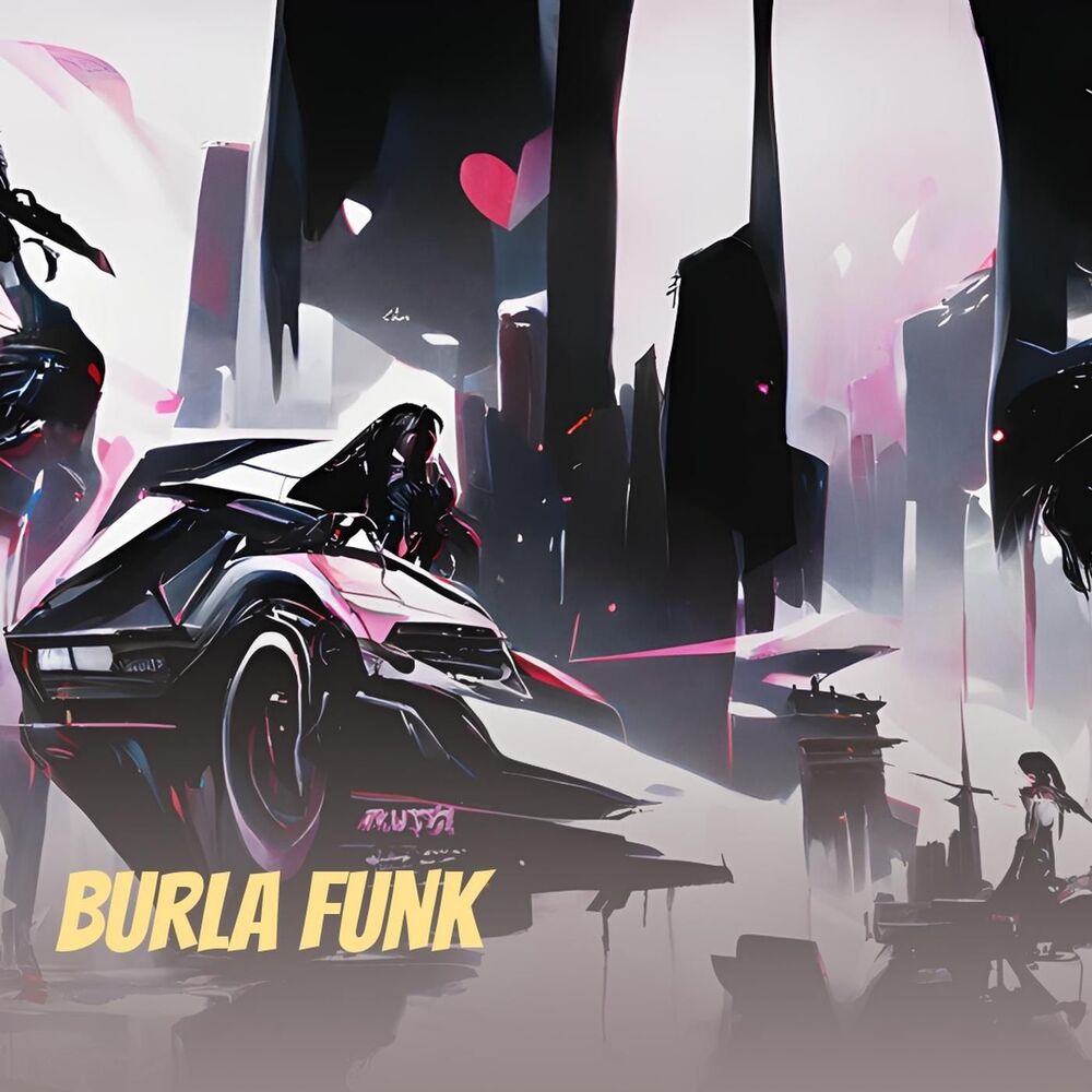 Picture of Burla Funk