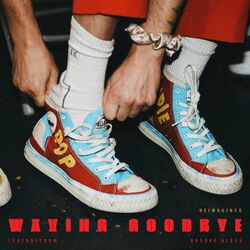 Cover of Waving Goodbye (Reimagined)