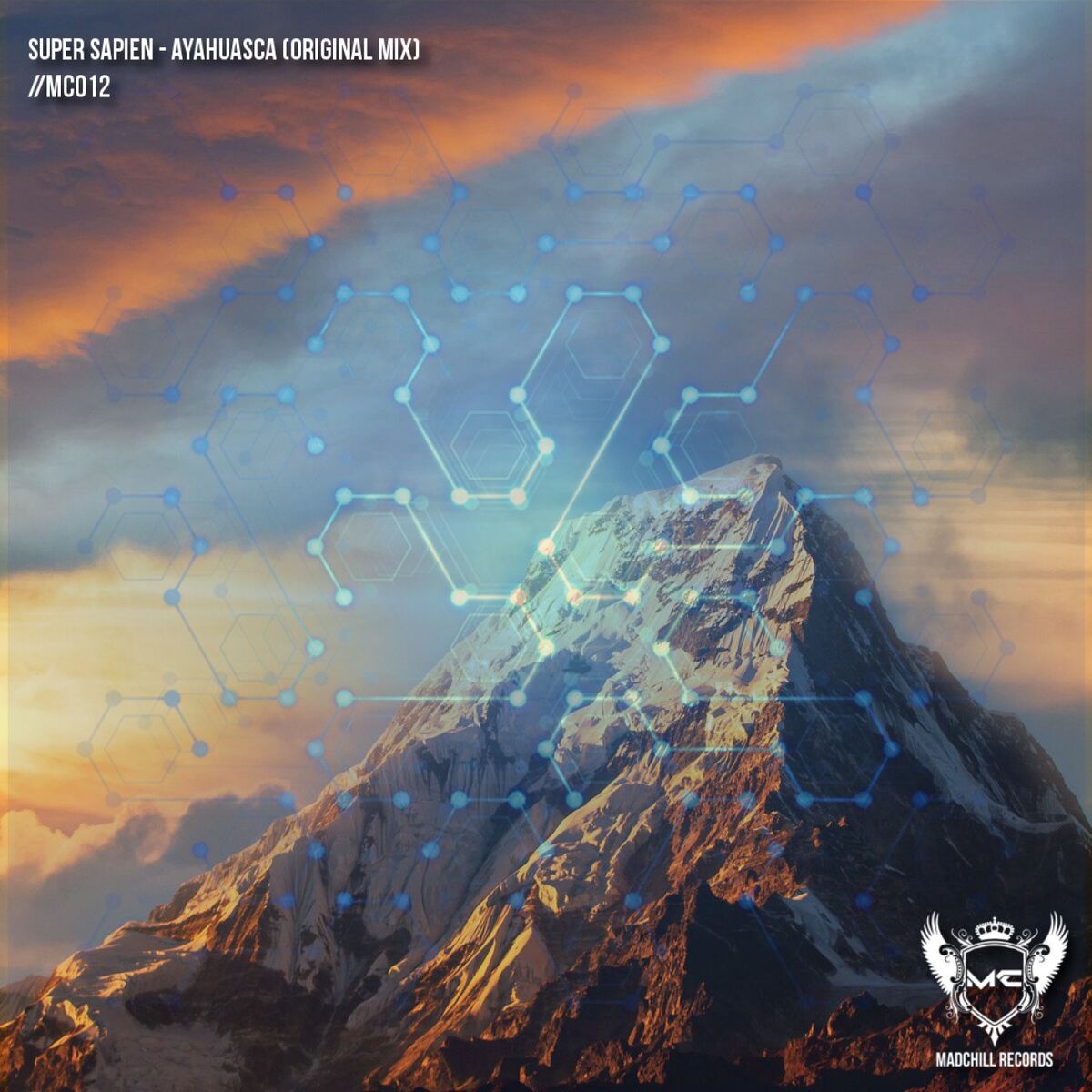 Album cover of Ayahuasca (Original Mix)