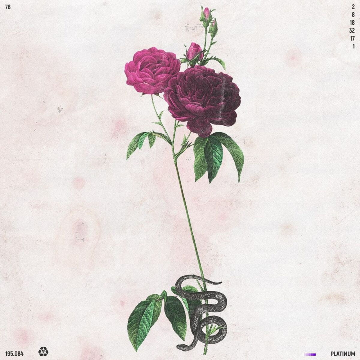 Album cover of PLATINUM