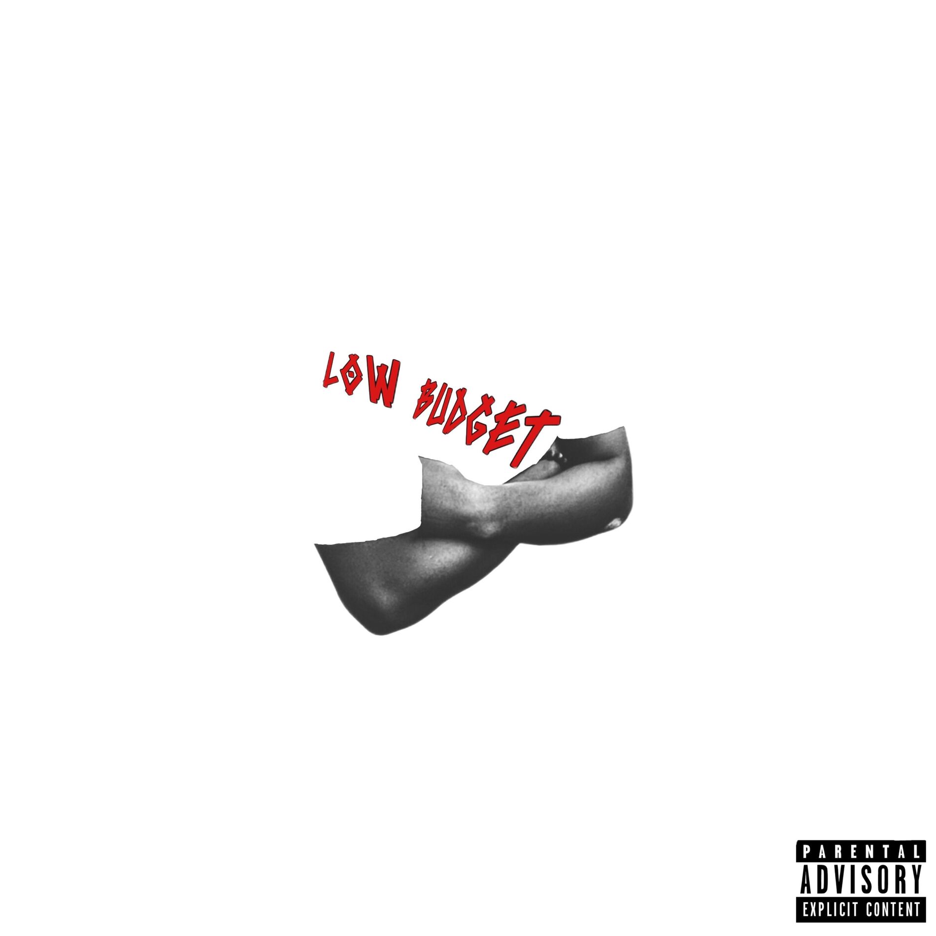 Album cover of LOW BUDGET