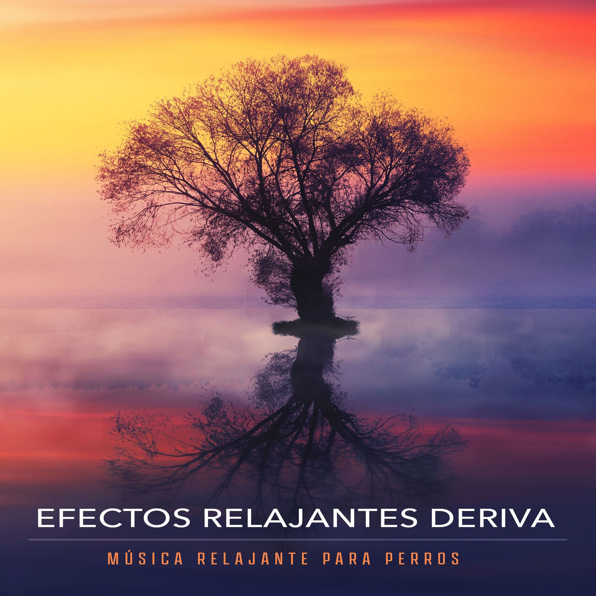 Album cover of Efectos Relajantes Deriva