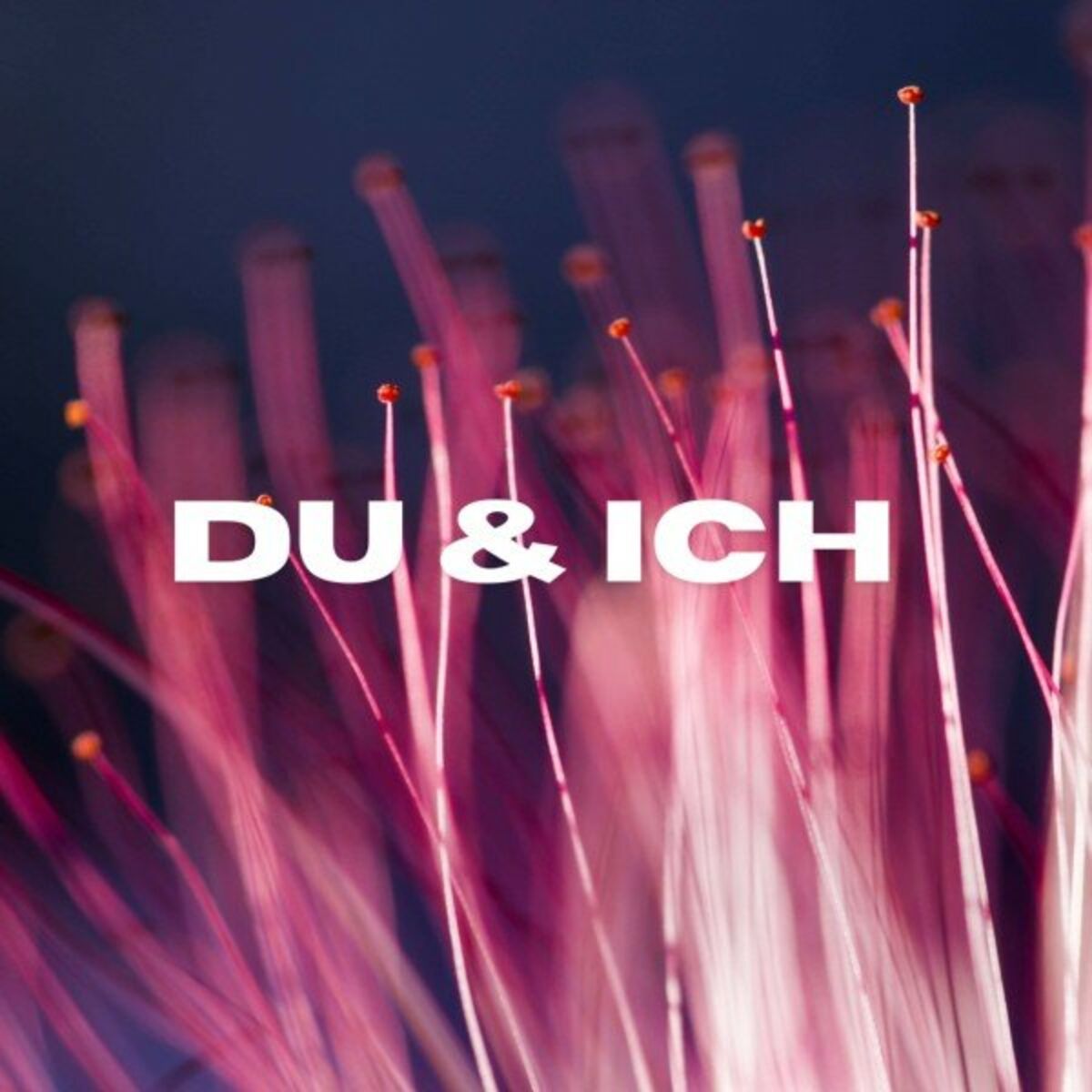 Album cover of Du & Ich