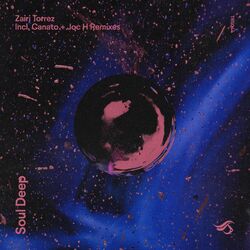 Cover of Soul Deep