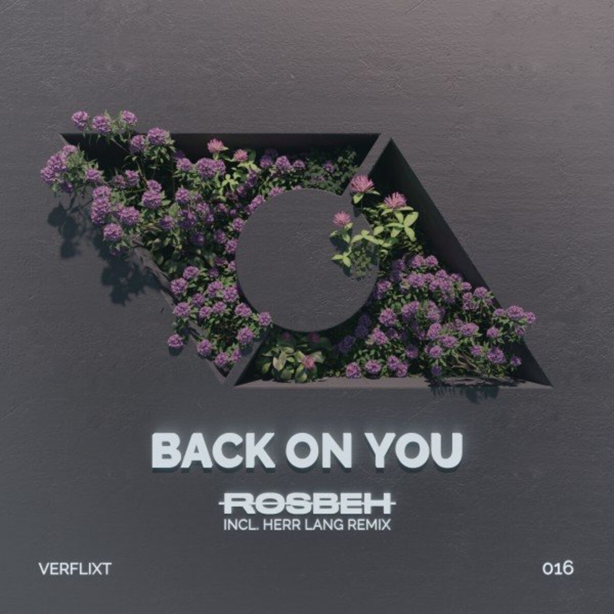 Album cover of Back on You