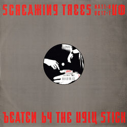 Cover of Beaten By The Ugly Stick