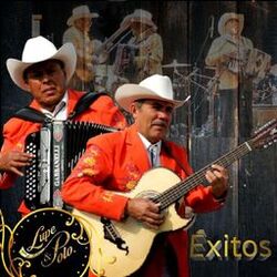 Cover of Exitos