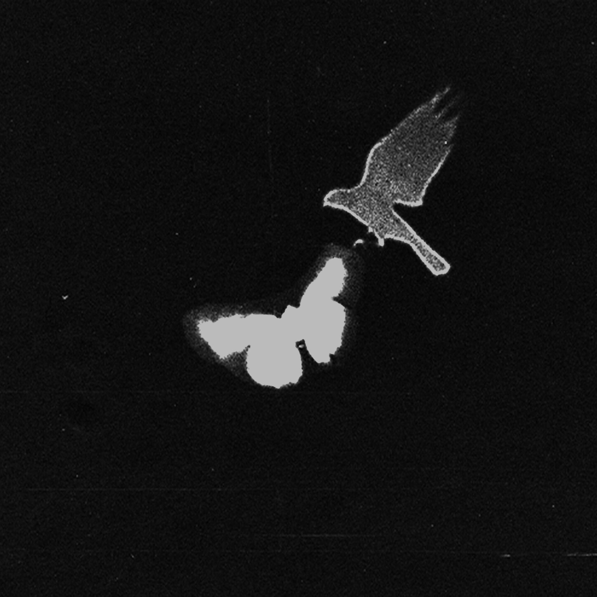 Album cover of Ephemere