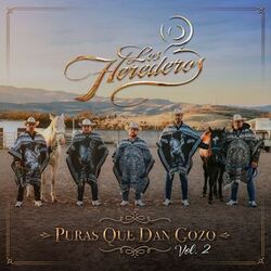 Cover of Puras Que Dan Gozo, Vol. 2