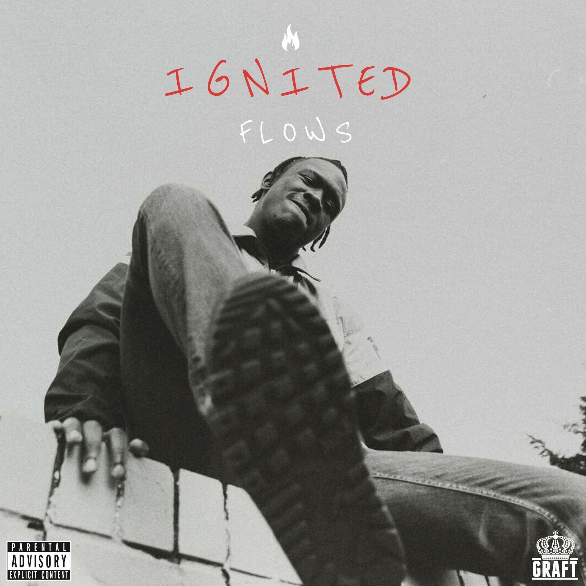 Album cover of Ignited Flows